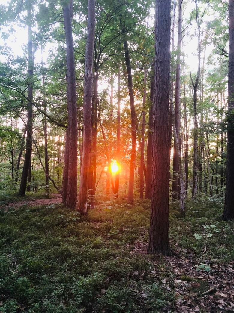 Casa Loft & Lamansarda