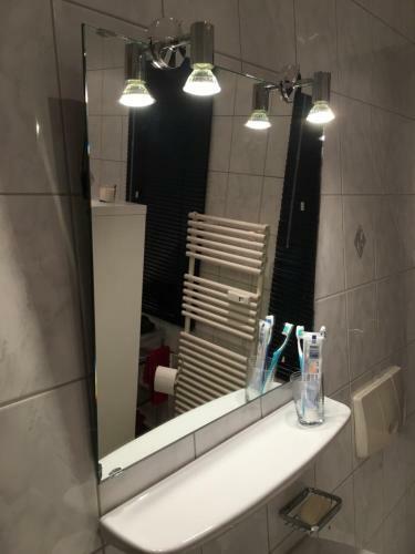 Apartamento Auf Der Zschopau-insel