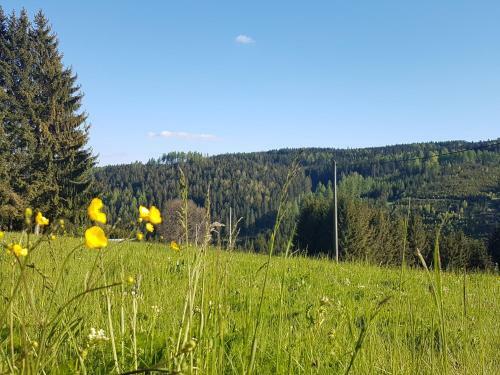 Apartamento Ferienwohnung Wegespinne