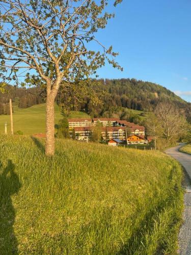 Apartamento Ferienwohnung Oberallg�u/ferienpark