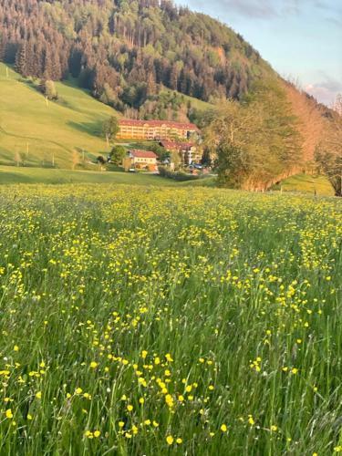 Apartamento Ferienwohnung Oberallg�u/ferienpark
