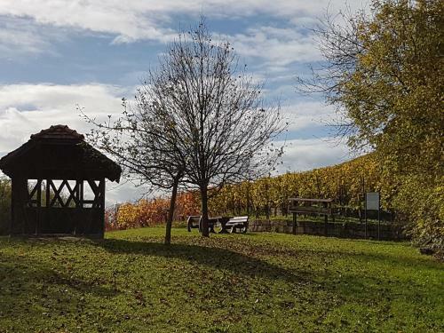 G�stezimmer In Aspach