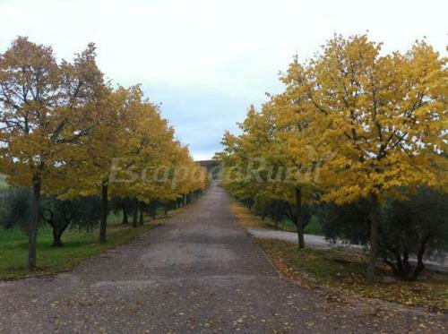 Villa Finca Cerro Del Moro