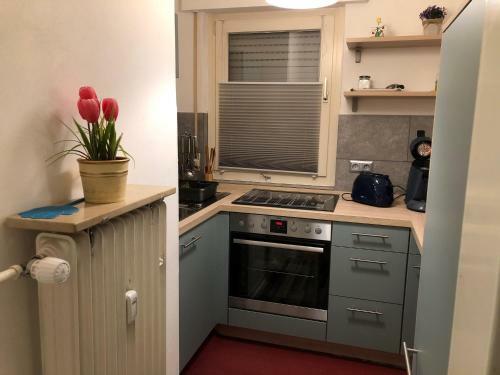 Apartment Connie