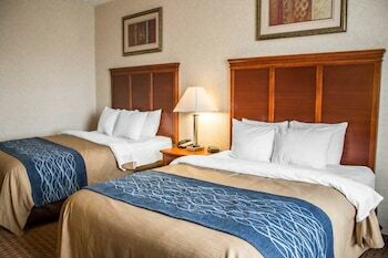 Hotel Comfort Inn & Suites Kent
