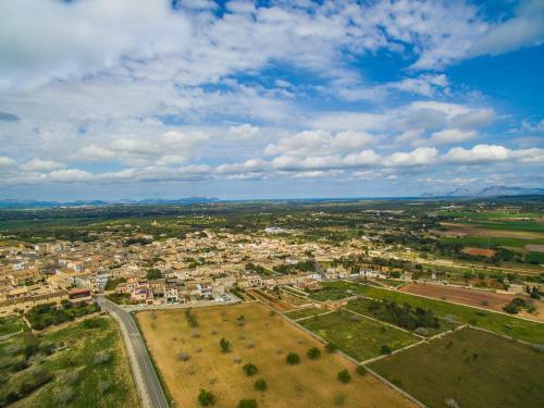 Solivera