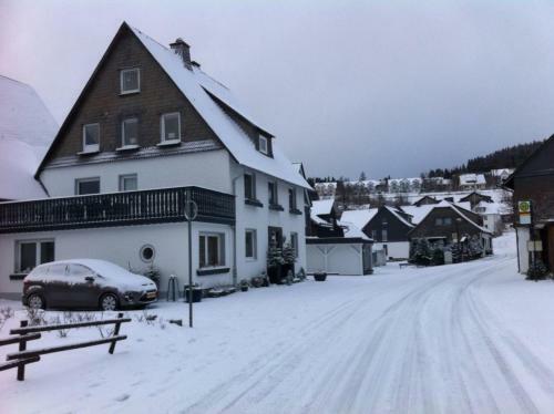 Ferienhaus Winterberg Lodge