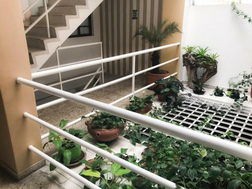 La Morada Aparta-suites