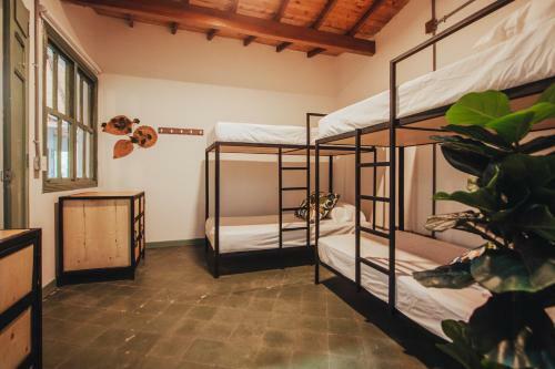 Hostal Centro Hostel Medellin