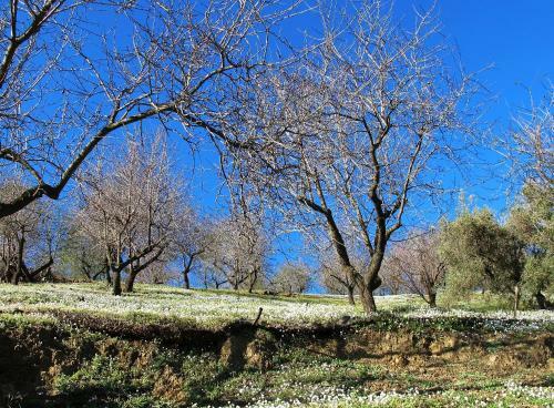2 Bed Villa With Stunning Campo Views Near Competa