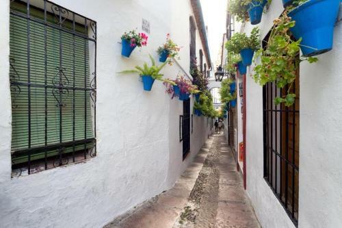 Apartamento Carey