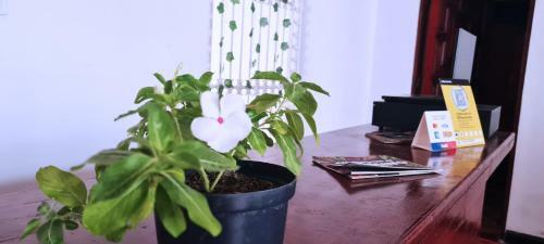 Hostal Historic House Santa Marta