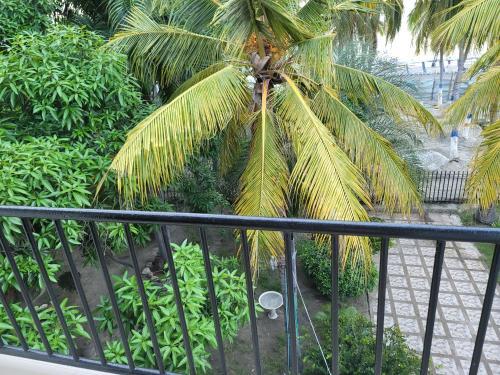 Apartamento Patuca C4
