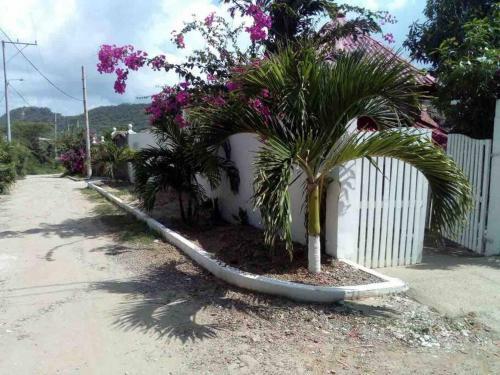 Caba�a Patio Espa�ol