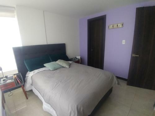 Acogedor Apartaestudio En El Centro de La Ciudad
