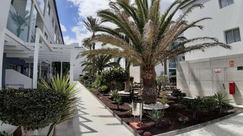 Apartamento Romantic Escape Corralejo