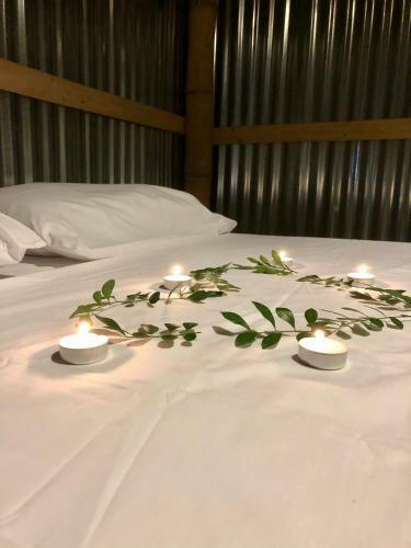 1541 Ecolodge - Glamping