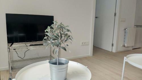 Apartamento Roges