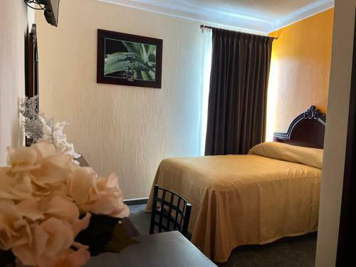 Hotel Delicias Tequila