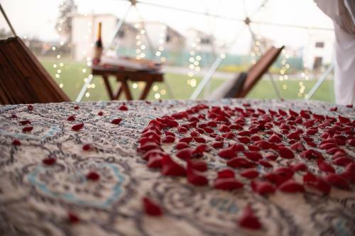 Mantra Glamping