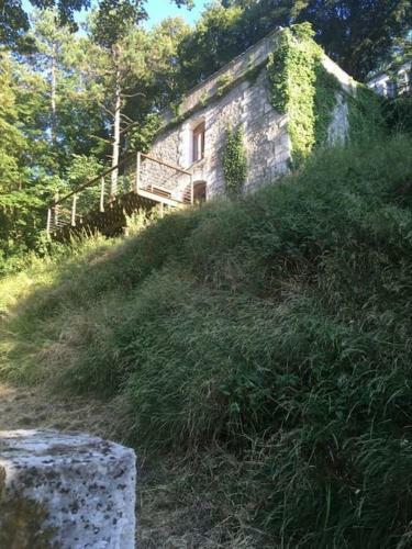 �crin De Verdure Centenaire Avec Vue Hyper Centre
