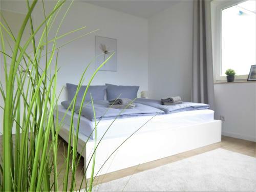 Apartment Winterberg Bike & Ski Lounge