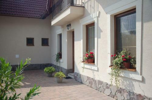 Hostal Penzi�n Skaln� Ruza - K�vir�zsa Panzi�