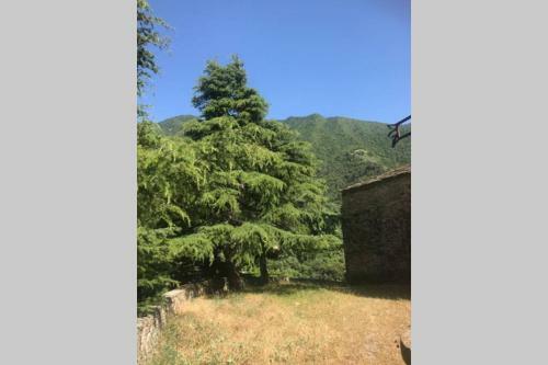 Alloggio U Sportegu Da E Monti A Giaia