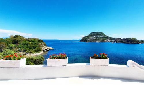B&B Al Mir�