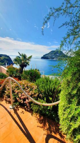 B&B Al Mir�