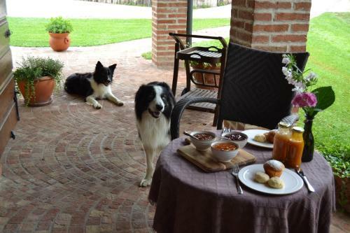 B&B Il Martin Pescatore