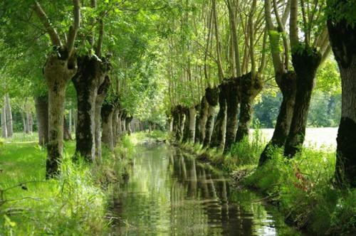 Une Mara�chine En Bord de Conche Avec Barque Sans Linge de Maison
