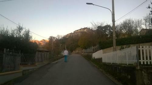 C� Feddia