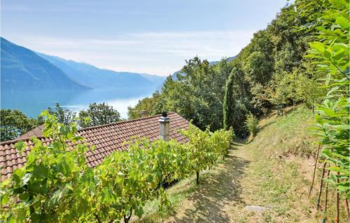 Amazing Home In Bagolino With 1 Bedrooms