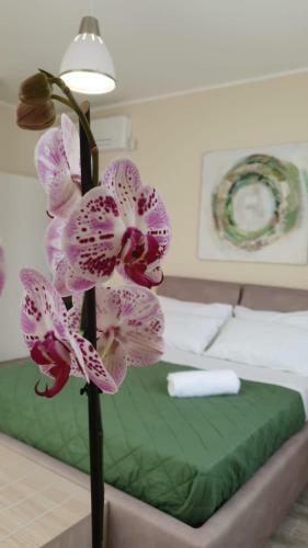 Bed & Breakfast Terra D'aspra