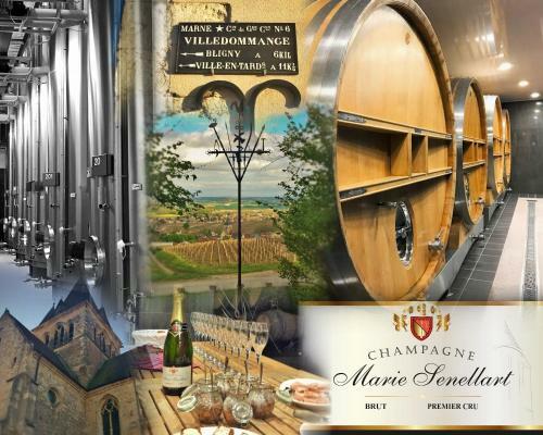Le Clos De La Tourelle