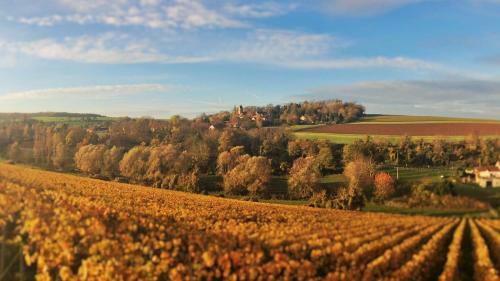 Le Clos De La Tourelle