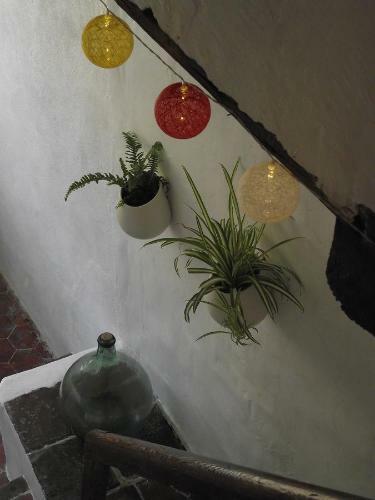 Bed & Breakfast Longo Mai