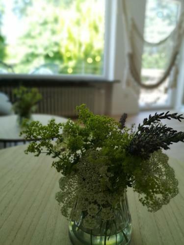 Haus Zur Lachenden Lieselotte