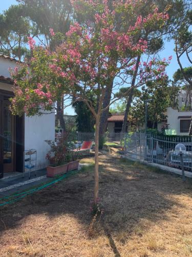 Chez Valery Casa Vacanza