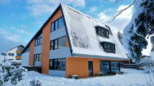 Schulenberg Apartment 1 Mit Kamin
