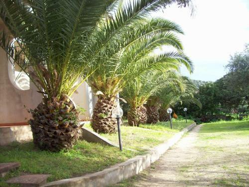 Villa Del Palmeto