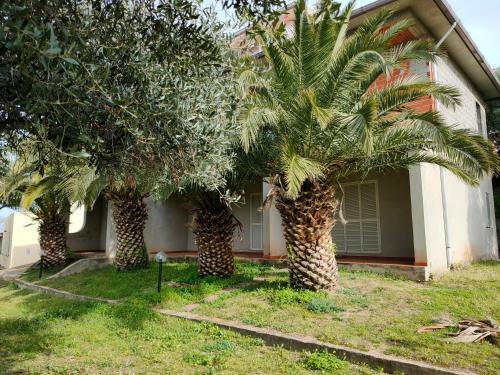 Villa Del Palmeto