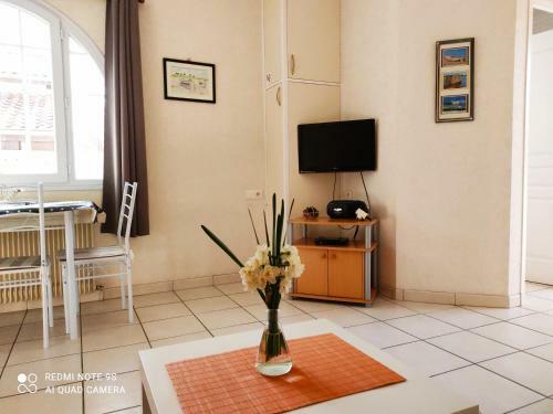 Gite Jardin/terrasse Cosy Pres Plages