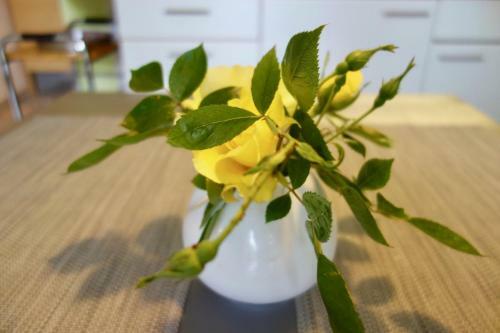 Apartamento Bodenseenahe Ruhige Ferienoase