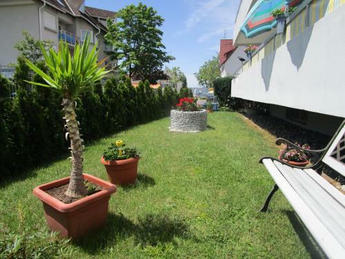 Apartamento G�stehaus Moleblick