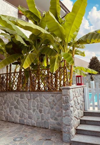 Bed & Breakfast Fiera Milano Rho 5