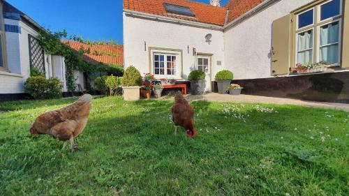 Hostal G�te Artbnb