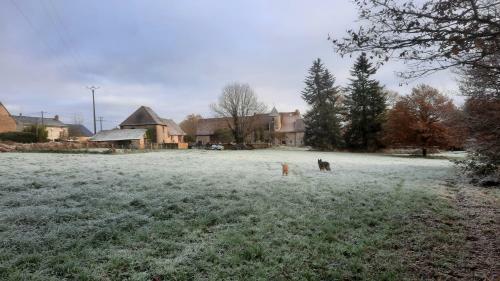 Apartamento Chateau de Montmagner