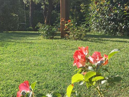 Bed & Breakfast Fili D'erba